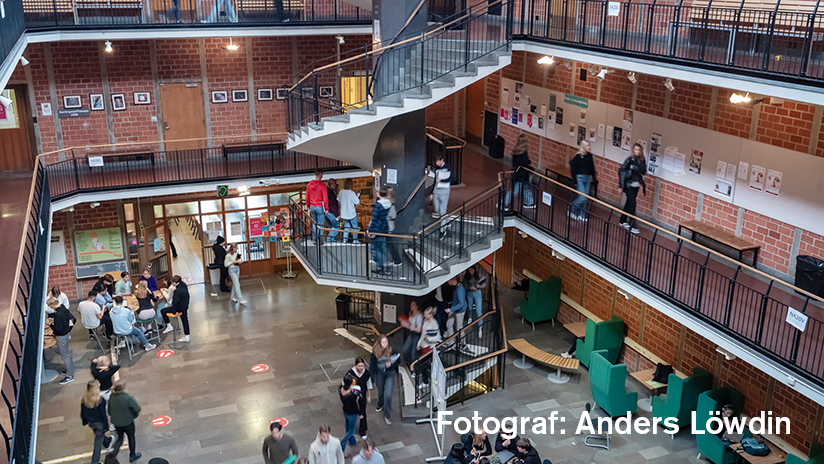 Bild från Blackebergs gymnasium. Fotograf Anders Löwdin.